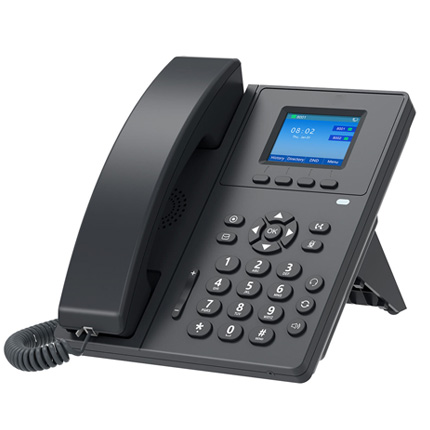 V110 & V110E 100M、color screen ip phone